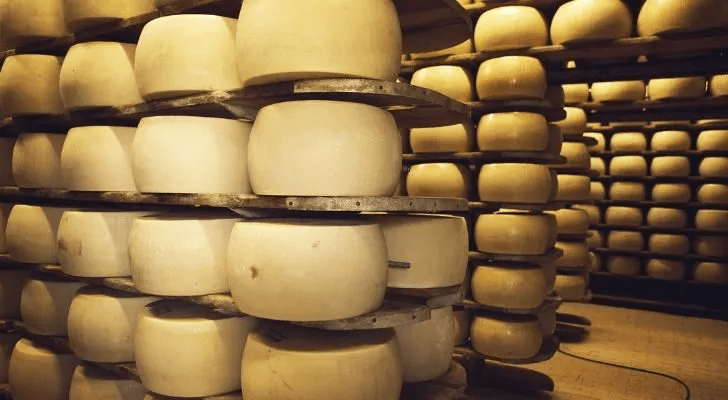 parmesan peynir 3