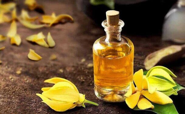 ylang ylang yagi nedir faydalari nelerdir5 608x405 1