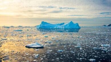 antarktika erirse dunyanin degisecegi yollar 5