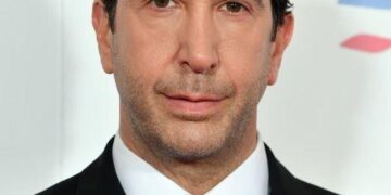 david schwimmer kimdir 1
