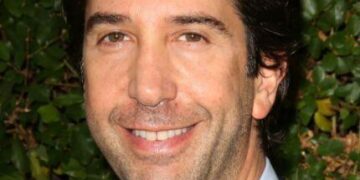 david schwimmer kimdir 5