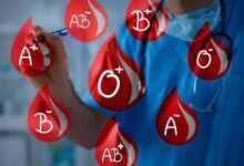 Kan Gruplarının Karakteristik Özellikleri Nelerdir?
