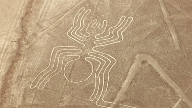 nazca cizgileri 1