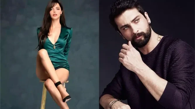Şahane Hayatım Dizi Konusu ve Oyuncuları 4 sahanee 2