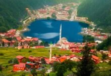 Trabzon Uçak Bileti Fiyatları