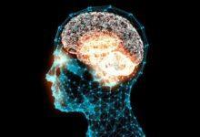 Ülkelerin IQ Sıralaması (2022)