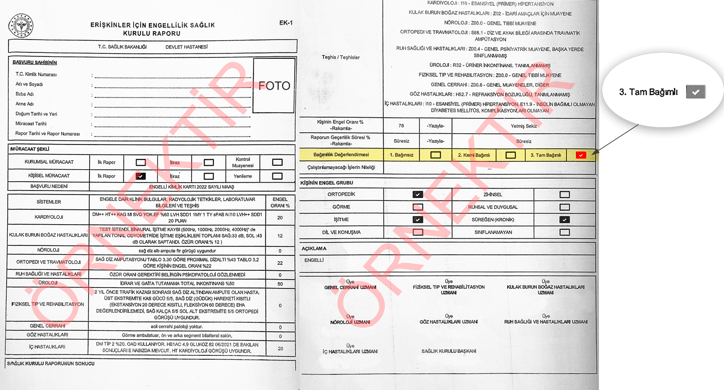 Engelli Raporu Nasıl Alınır? Gerekli Şartları Nelerdir? (2023 ...