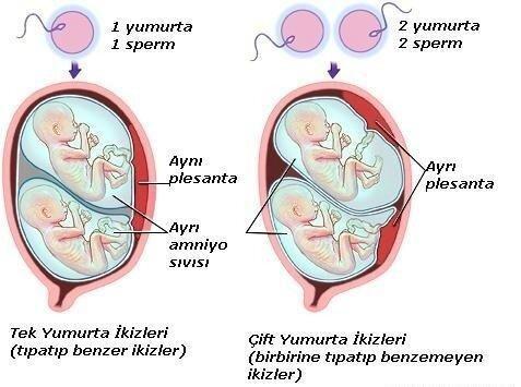 ikizler parmak izleri