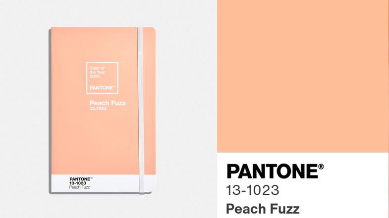 2024 pantone rengi seftali tuyu 2