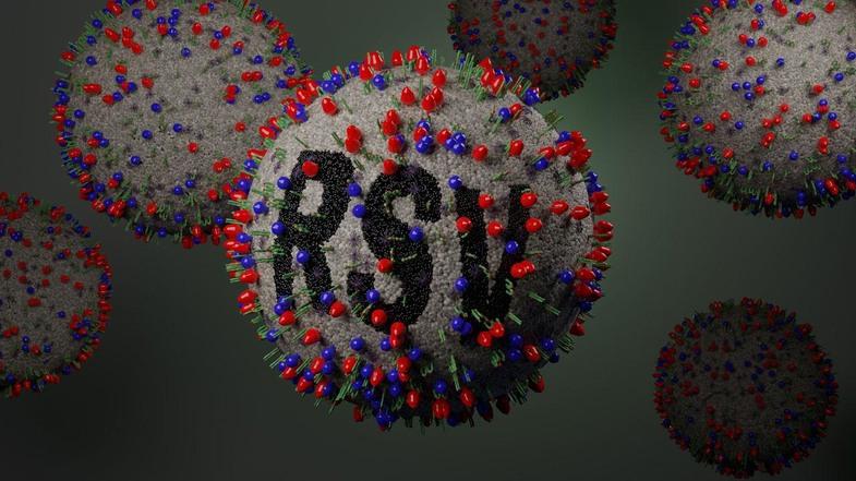 rsv virusu nedir 2