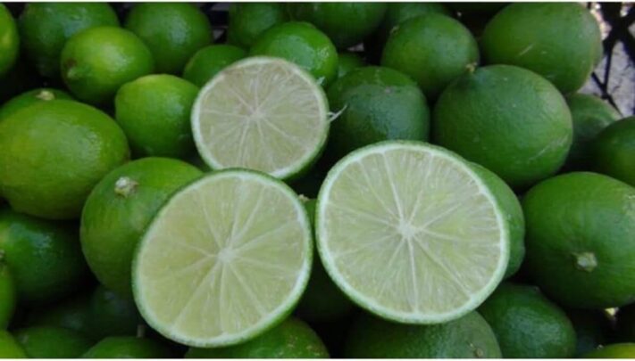 limon tohumu faydaları nelerdir
