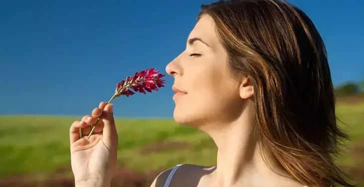 Kokuların İnsanlar Üzerindeki Etkileri!