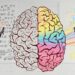 analitik dusunme nedir 1