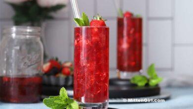 berry hibiscus tarifi 1