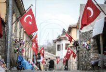 vatan ile ilgili siirler 1