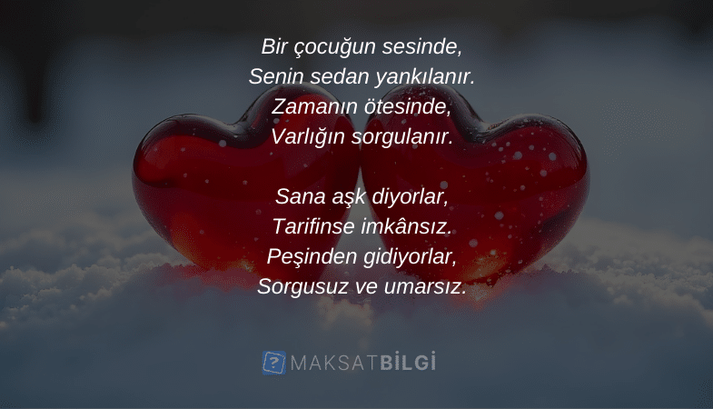 sevgililer gunu siirleri 2