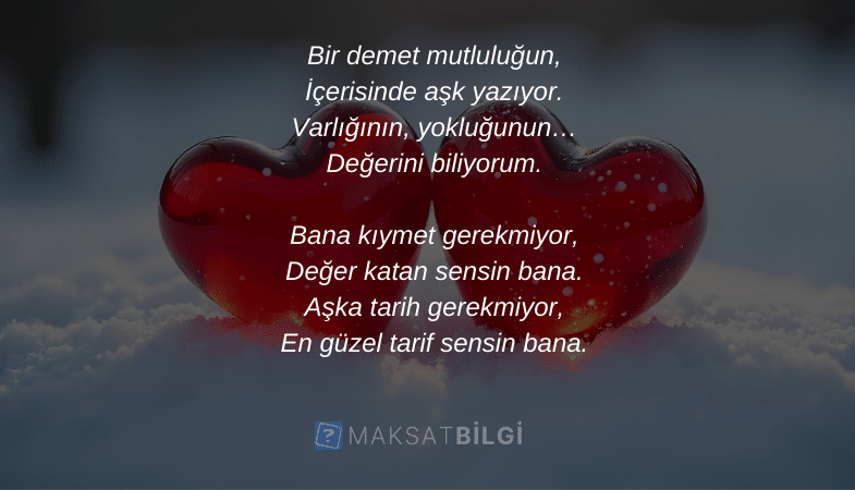 sevgililer gunu siirleri 3