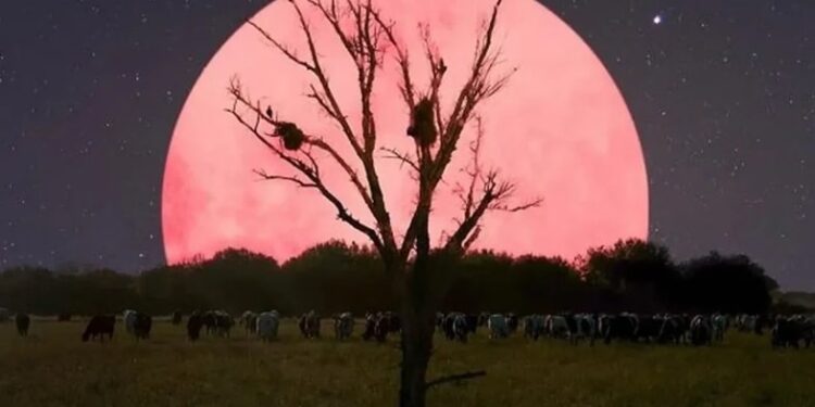 pembe ay dolunayi nedir 1