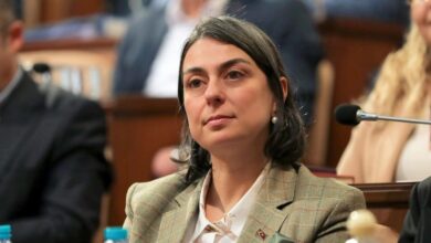 sinem dedetas kimdir 8