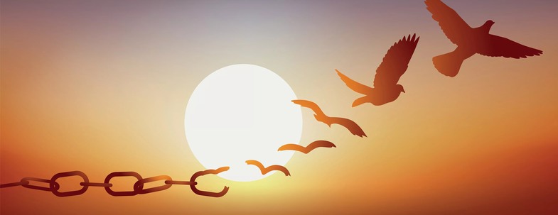 21 Eylül Uluslararası Barış Günü Nedir? Uluslararası Barış Günü Mesajları 2 Uluslararası Barış Günü