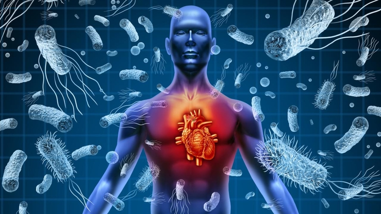 Çoklu Organ Yetmezliği Nedir? Belirtileri ve Tedavi Yöntemleri Neler? 2 coklu organ yetmezligi nedir 3