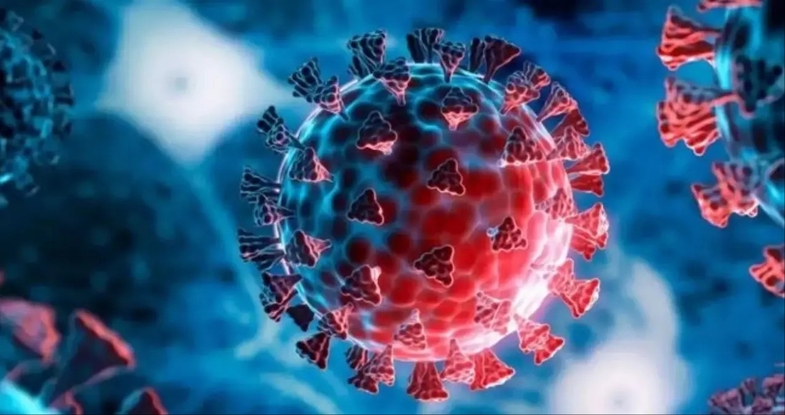 Mutasyonlu H3N2 Virüsü Nedir? Belirtileri ve Tedavi Yöntemleri Nelerdir? 4 mutasyonlu h3n2 virusu 3
