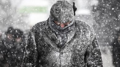 Zemheri Soğukları Nedir, Ne Zaman Başlar ve Biter? Günlük Hayatımızı Nasıl Etkiler? 35 zemheri soguklari nedir 1