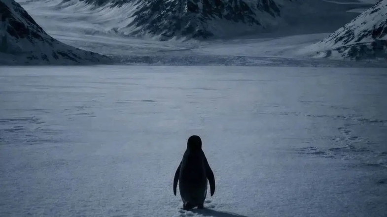 Sosyal Medyanın Yeni İkonu: Nihilist Penguen Olayı Nedir? Penguen Neden Kesin Ölüme Doğru Yürüdü? 4 nihilist penguen olayi 4