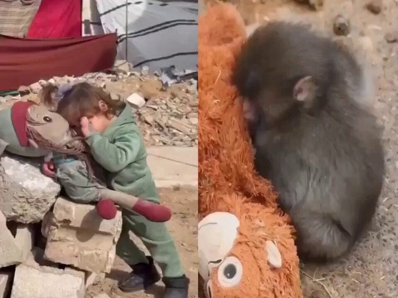 Punch Maymun Olayı Nedir? Punch Maymun ve Gazze'deki Çocuklar Neden Birbirine Benzetildi? 4 punch maymun olayi 4