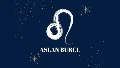 Aslan Burcu Kadınını Nasıl Tavlarsın? Onun Kalbine Giden 8 Küçük Ama Etkili Yol 21 aslan burcu kadinini nasil tavlarsin1