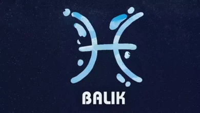Balık Burcu Erkeğini Nasıl Tavlarsın? Onun Kalbine Giden 8 Küçük Ama Etkili Yol 15 balik burcu erkegini nasil tavlarsin1