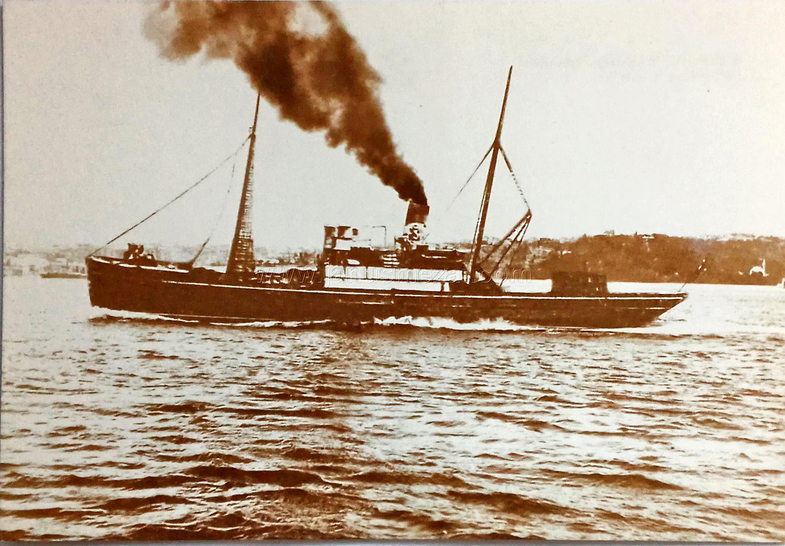 19 Mayıs 1919 Gazete Manşetleri: Milli Mücadele’nin İlk Yansımaları 2 19 Mayıs 1919 Gazete Manşetleri