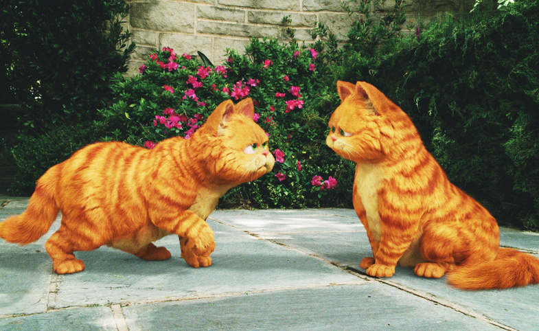Garfield 2 Film Konusu ve Oyuncuları 5 garfield 2 filmi 5