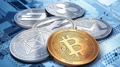 Düşük Komisyonlu Kripto Borsaları 12 kripto borsa w
