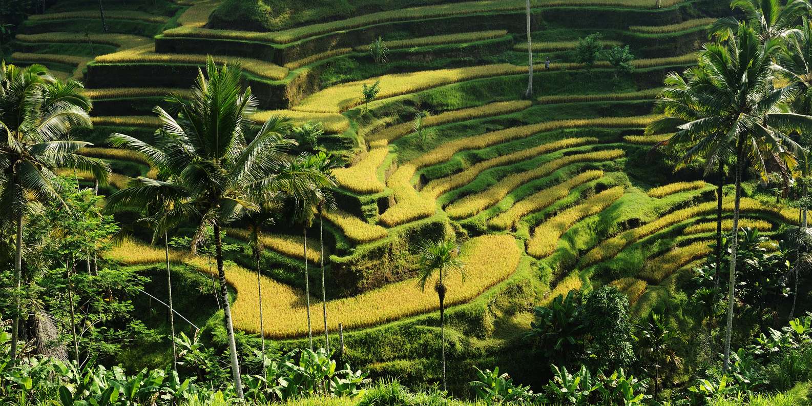 Bali'de Mutlaka Görmeniz Gereken 10 Yer 3 balide mutlaka gormeniz gereken 10 yer3