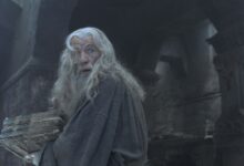 yuzuklerin efendisi yuzuk kardesligi filmi 1