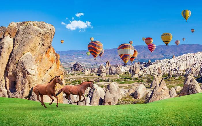 Türkiye’de Çocuklarla Gezilecek 10 Keyifli Yer 4 turkiyede cocuklarla gezilecek 10 keyifli yer3